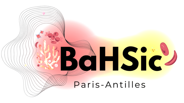BaHSic